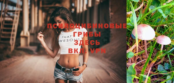 мяу мяу мука Алексеевка