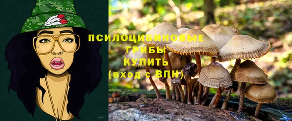 героин Алексин