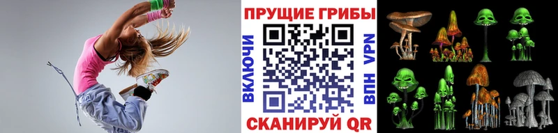 купить наркоту  Тула  MEGA ссылка  Галлюциногенные грибы Psilocybine cubensis 